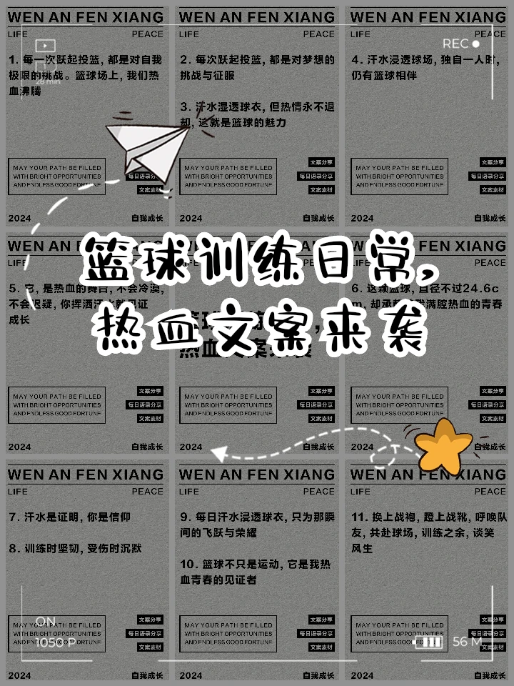 哪里有适合初学者的篮球训练管理指南_1